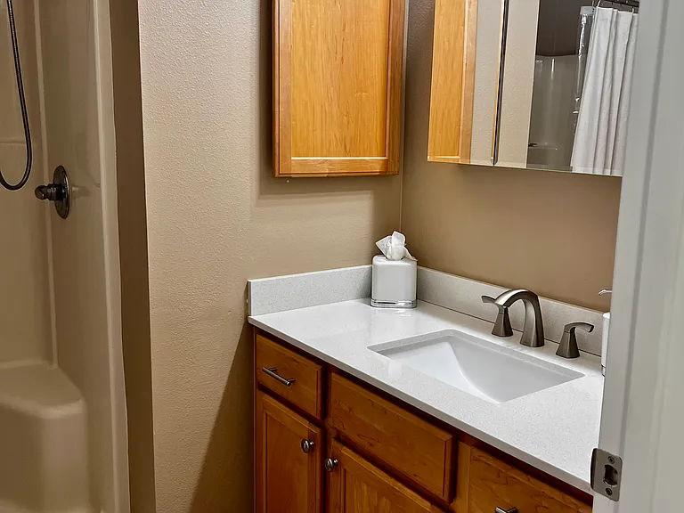 Primary Bathroom with walk in shower. Stone countertop with updated finishes.