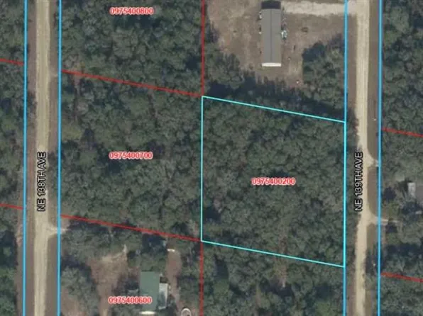NE 139TH STREET LOT 3, WILLISTON, FL 32696