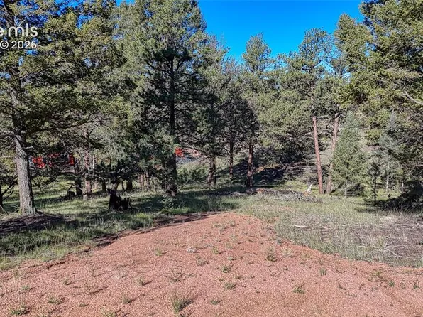 91 Utah Way, Florissant, CO 80816