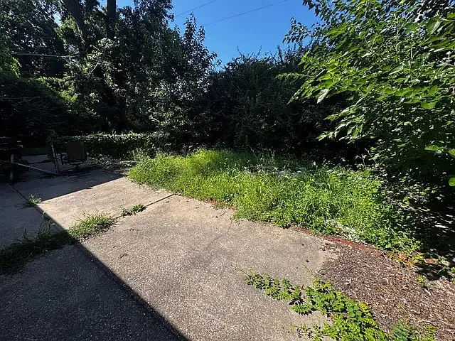 3 bed, $2,300 — Photo 3