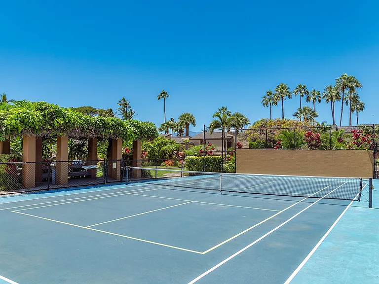 Wailea Alanui Dr — Photo 47