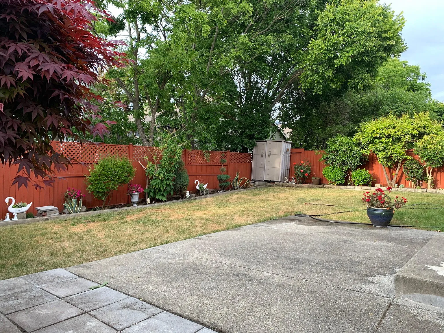 3 bed, 1819 sqft, $3,850 — Photo 4