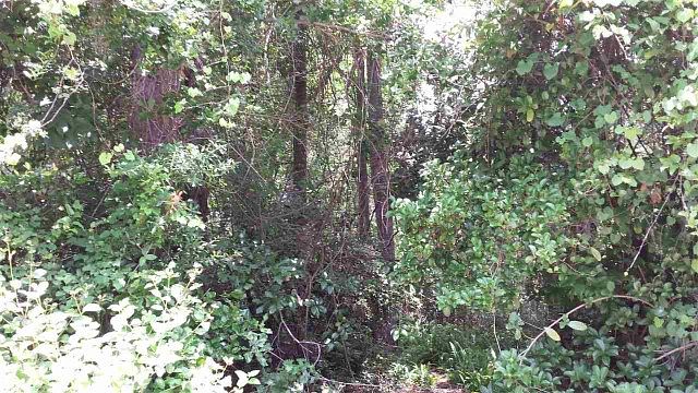 1st image of 1826 Mahan Dr #0