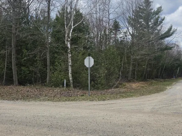 Woodlea Rd W, Oscoda, MI 48750