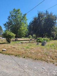 8411 356th Street S, McKenna, WA, 98558