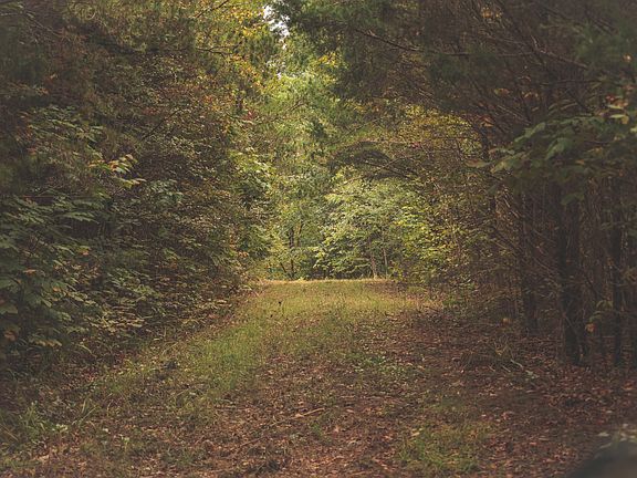 3rd image of 0 Deer Ridge Trl NE