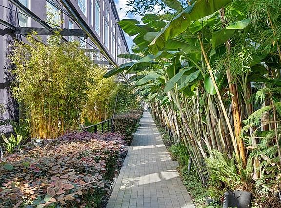 3rd image of 1201 Pine St Unit 306