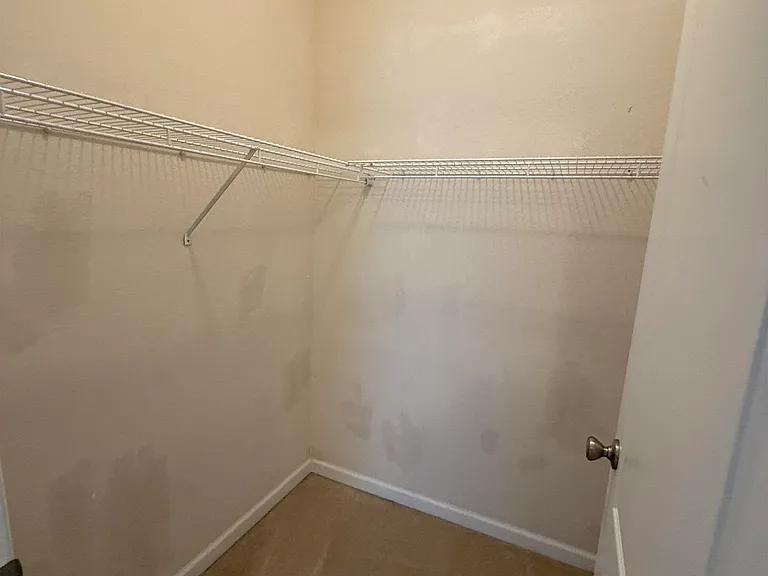 4203 Old Plantation Loop — Photo 15