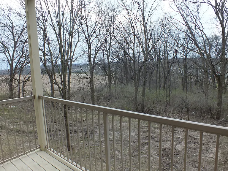 View from Patio