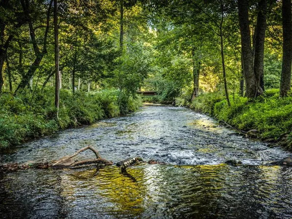 2632 Big Creek Rd, Cherry Log, GA 30522