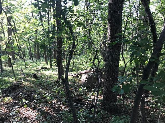 3rd image of 125 Oak Turnagain Ct