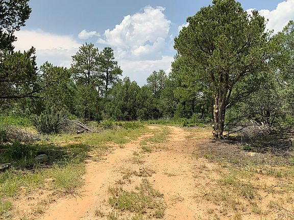 3rd image of 23400 Apishipa Ln