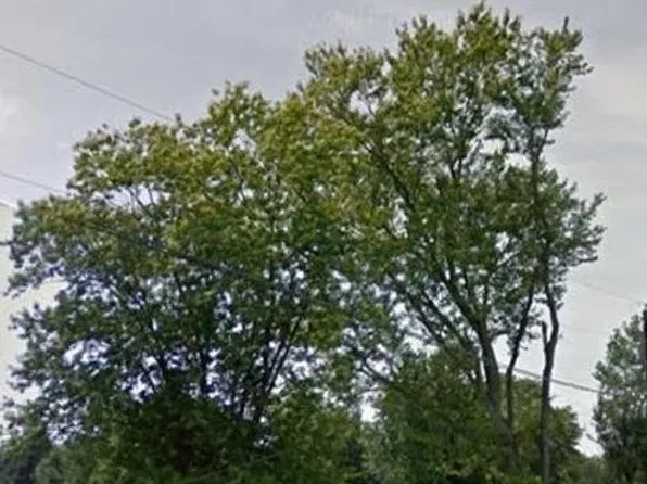 25 Hurley Rd, London, KY 40744