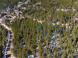 752 Harris Dr, Idaho Springs, CO 80452