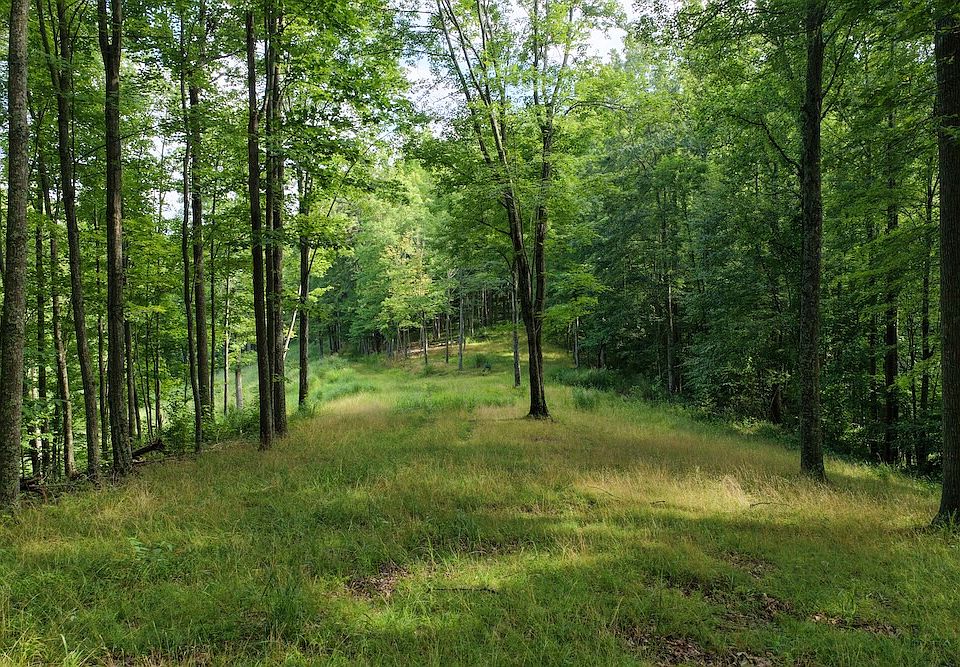 1st image of 0 Shirkey Branch Rd