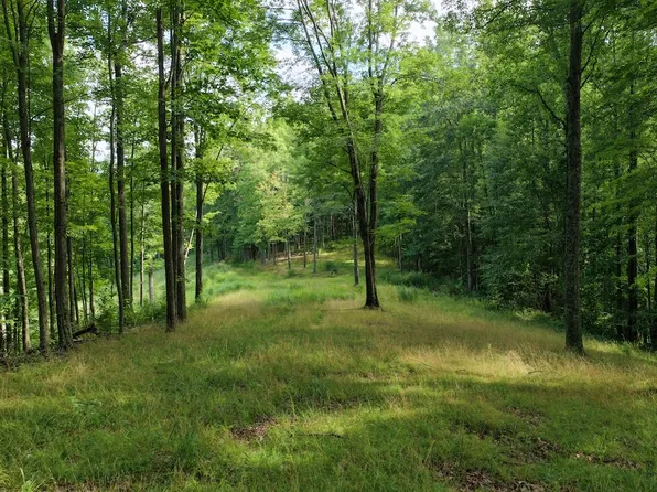 0 Shirkey Branch Rd, Clendenin, WV 25045
