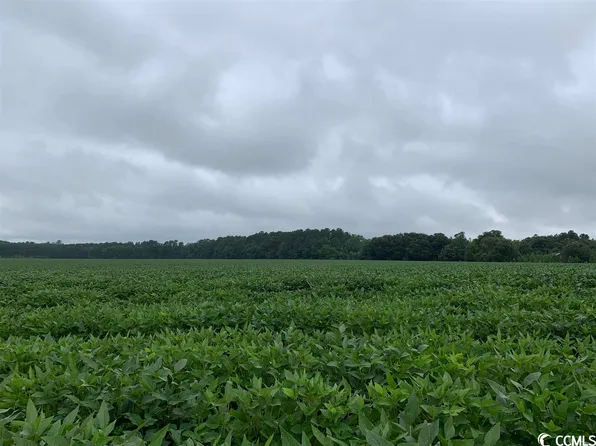 29.7 Highway 52, Salters, SC 29590