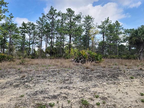 3rd image of 12121 THRASHER AVENUE LOT 14