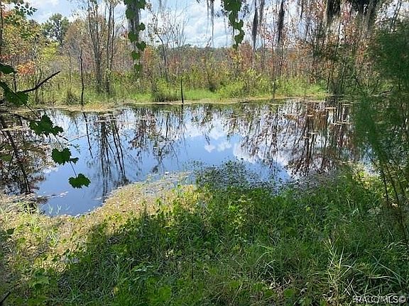 4th image of 8996 E Gulf To Lake Hwy
