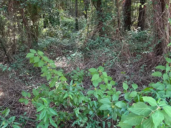 0 Sandy Shoal Loop, Fairhope, AL 36532