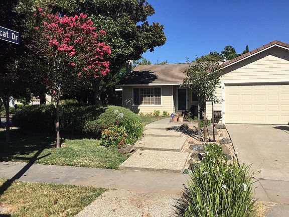 front walk driveway