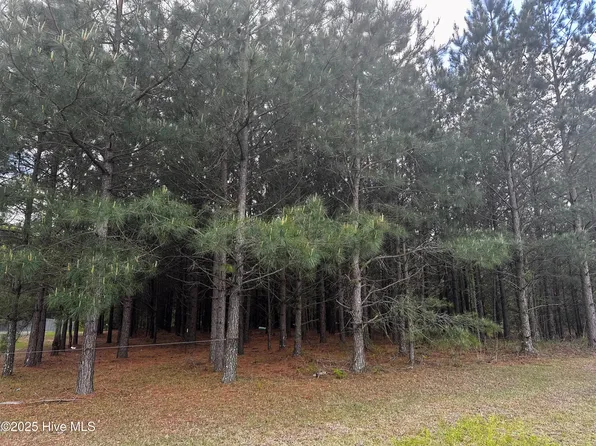 0 Nc 118, Grifton, NC 28530