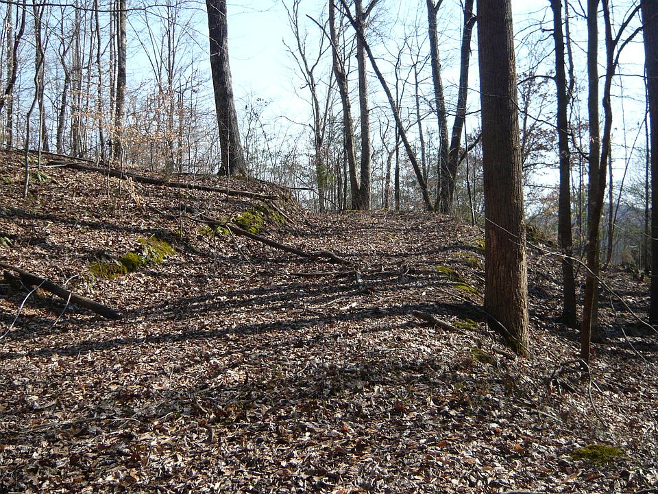 old logging road through lot