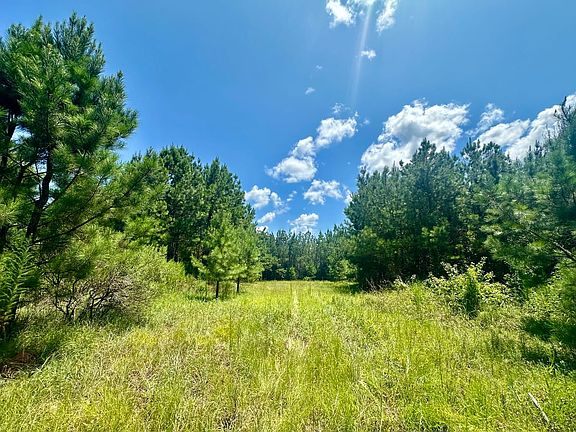 4th image of Hale County Rd #32