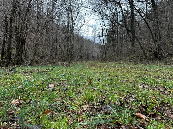 Kingdom Rd, Duffield, VA 24244