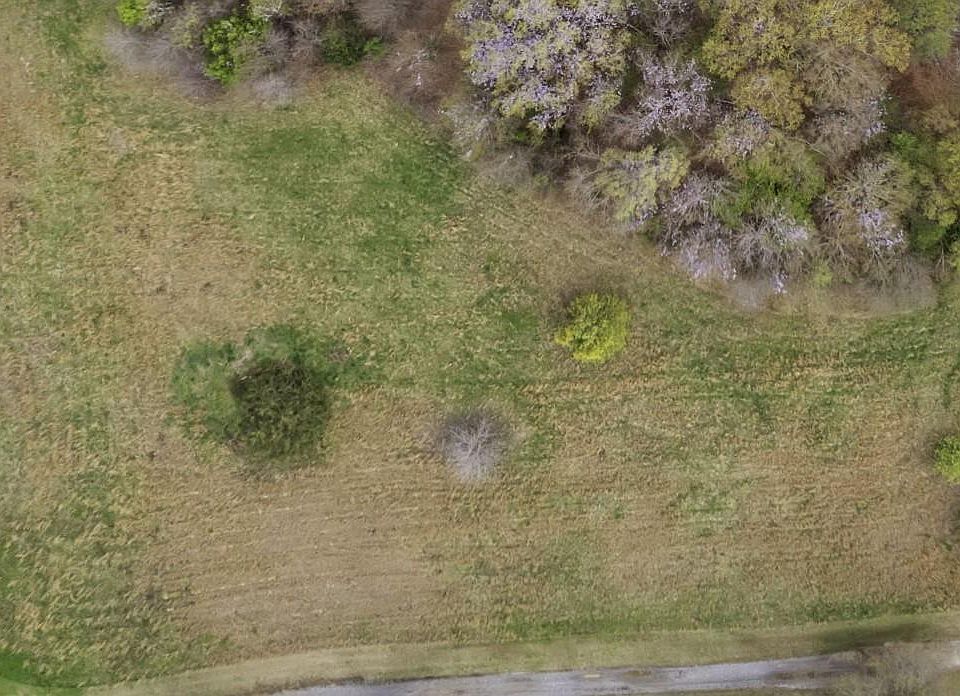 2nd image of 1411A Sharon Rd