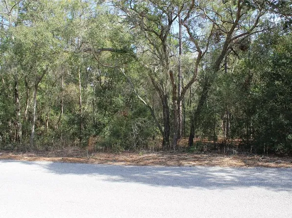 11715 S Rural Ter #100, Floral City, FL 34436
