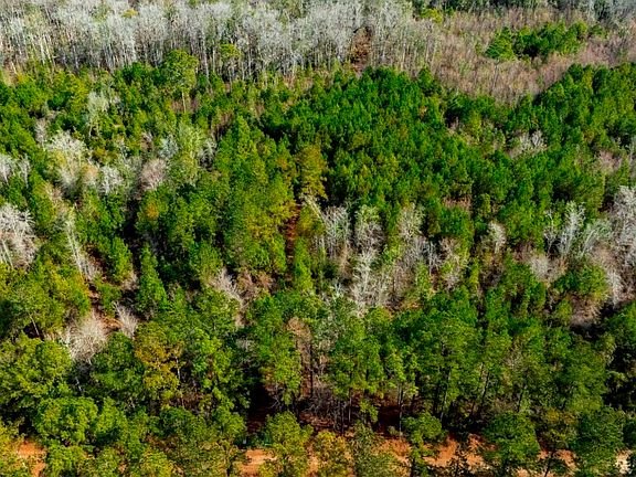 2nd image of 0 Riggs Mill Rd