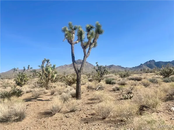 327-06-541 19th St, Dolan Springs, AZ 86441