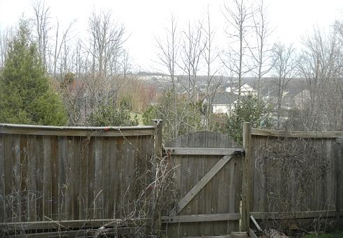 3rd image of 9613 Franklin Woods Pl