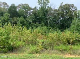 E Shore Dr, Rockwood, TN 37854