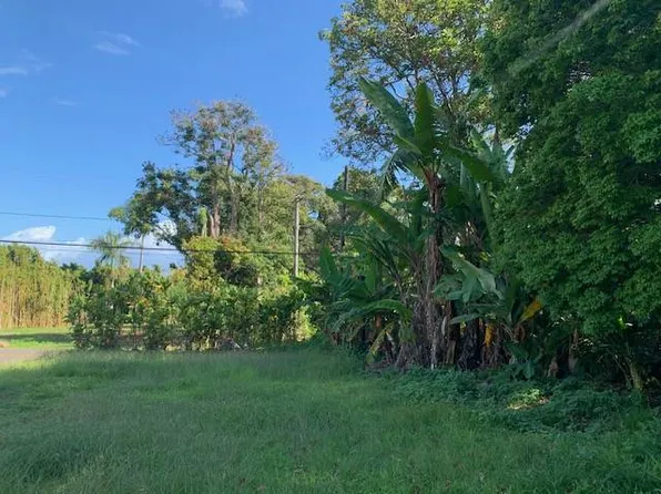 48-5401 Kukuihaele Rd Lot B, Honokaa, HI 96727