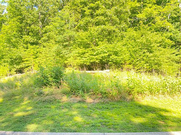 4th image of LOT 12 Cove Springs Dr