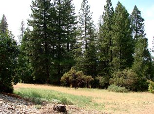 138 Forest Meadows Dr, Murphys, CA