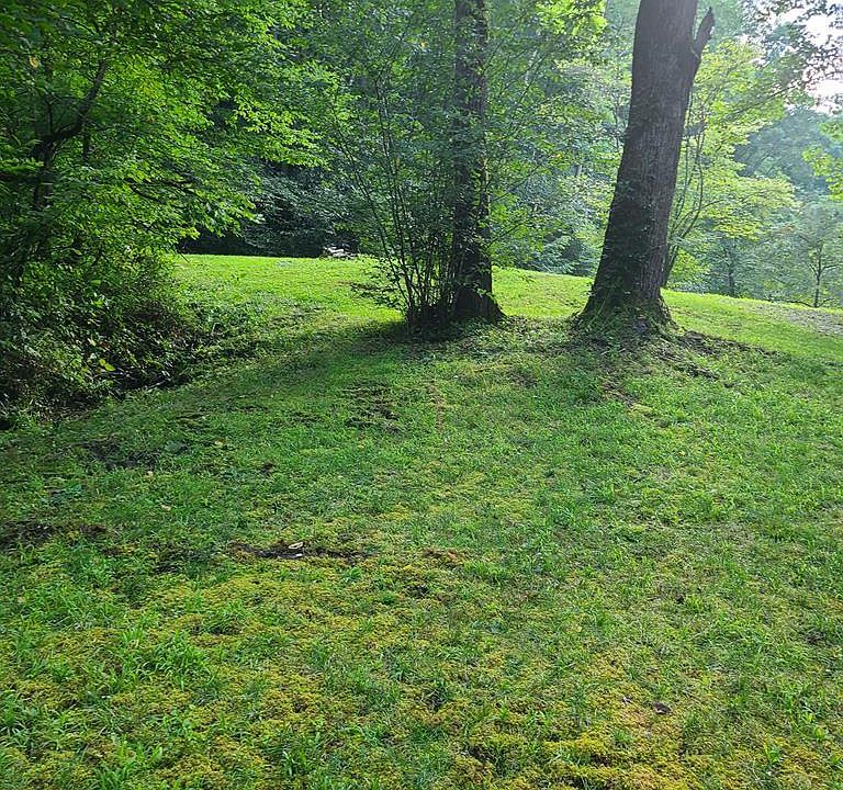 1st image of 0 Red Wolf Run