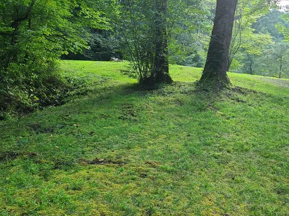 0 Red Wolf Run, Franklin, NC 28734