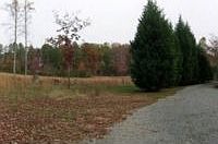 1st image of 16201 Amadillo Ln