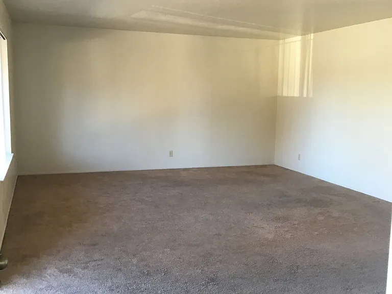 3153 Eucalyptus St — Photo 5