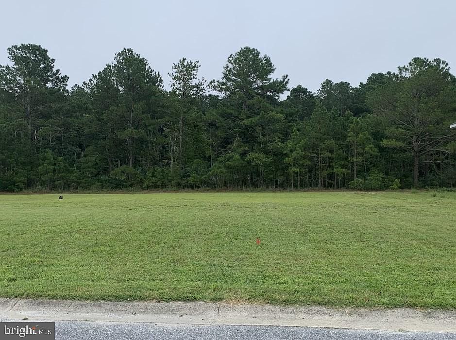 1st image of 39625 Water Works Ct