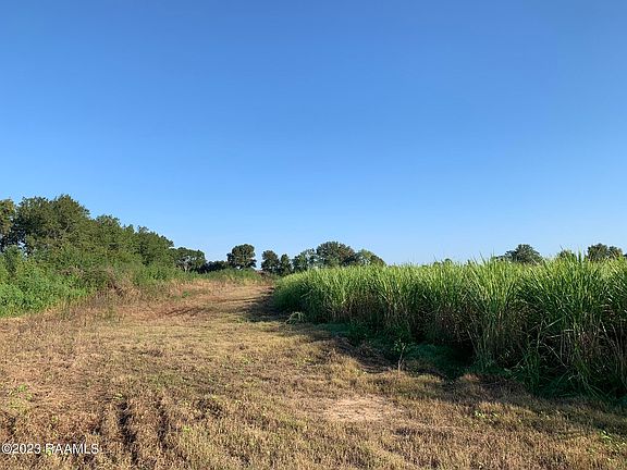 5th image of Dalton Rd