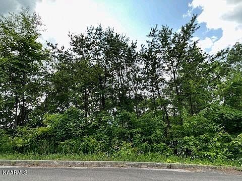 1st image of 24 Grouse Ridge Ln Lot 24