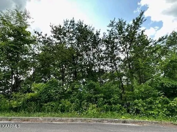 24 Grouse Ridge Ln Lot 24, Sevierville, TN 37862