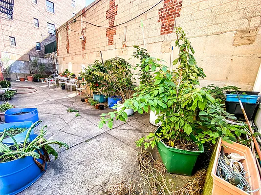 Rented by Voro New York | media 75