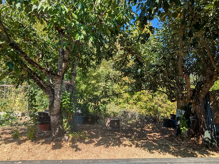 1221 SW Kalyca Way — Photo 3