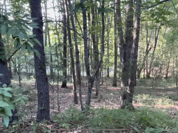 0 Fawn Dr, Basye, VA 22810