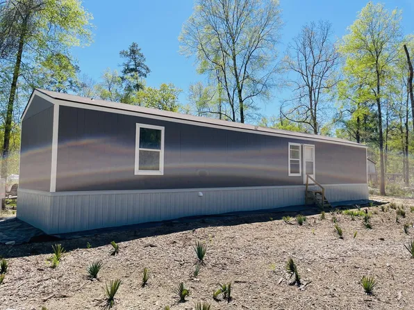 30 Hellon Ln, Shepherd, TX 77371